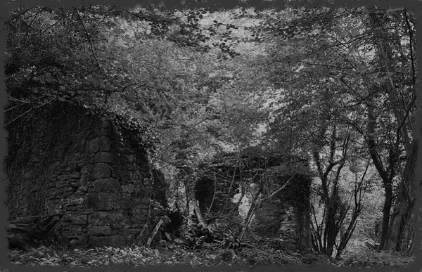 Ruined Cottage